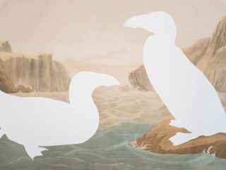 Brandon Ballengée  RIP Great Auk: After John James Audubon, 1858/2023 Bien edition chromolithograph 26 x 39 in., unframed