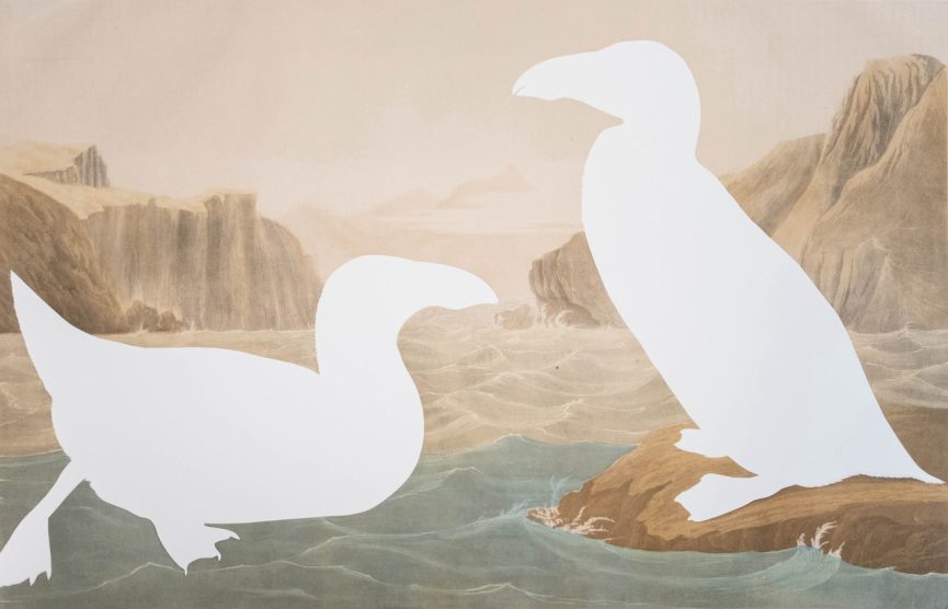 Brandon Ballengée  RIP Great Auk: After John James Audubon, 1858/2023 Bien edition chromolithograph 26 x 39 in., unframed