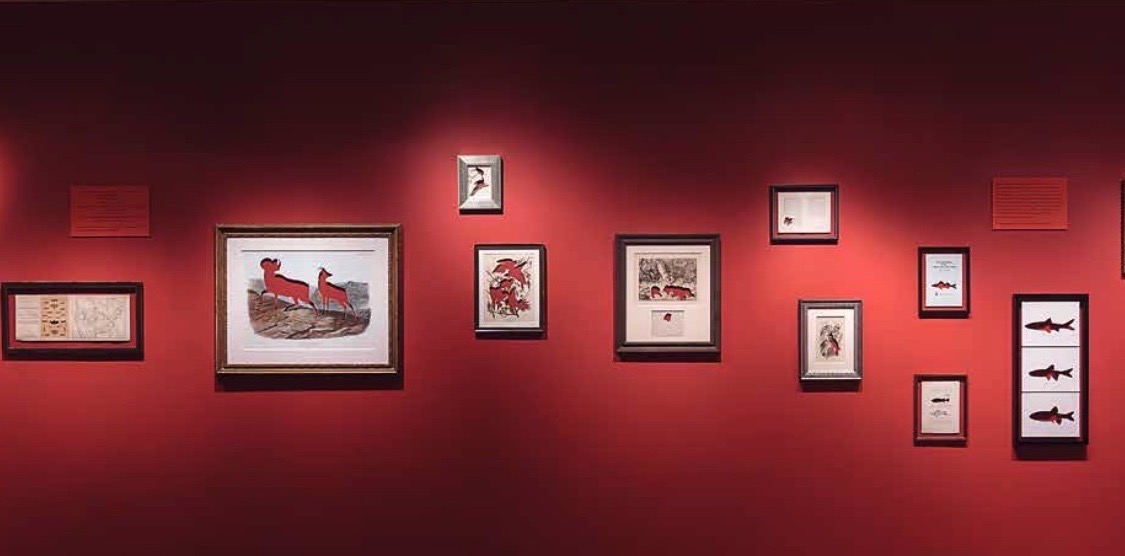 Frames of Absence, installation view, University of Wyoming Art Museum, 2016 