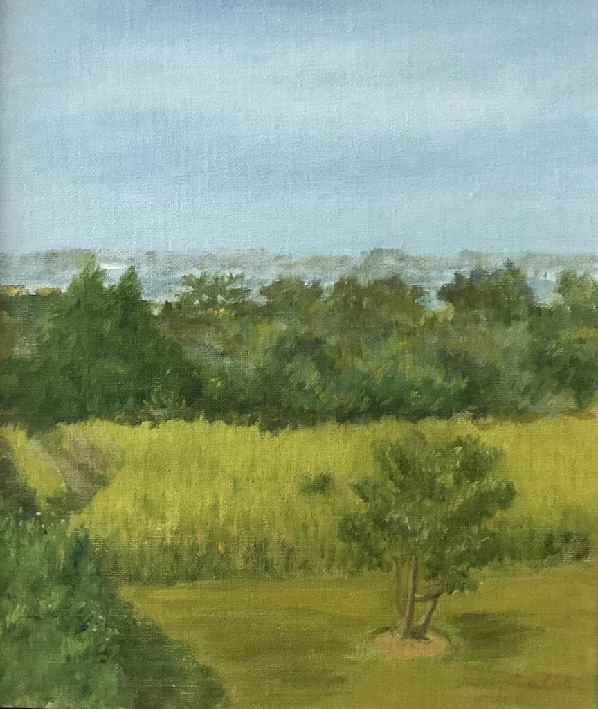 Jane Freilicher Summer Landscape, 1998 Oil on linen 14 x 12 in. Signed