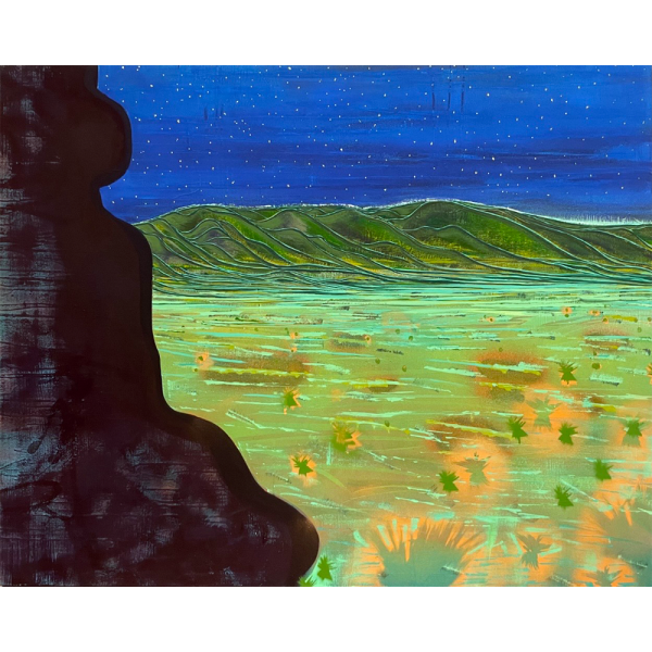 Sue McNally Night Camp, 2024 Acrylic on canvas 38 x 60 inches
