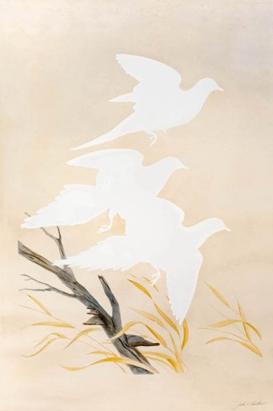 Brandon Ballengée RIP Passenger Pigeon: After Jack Ruthven, 1973/2023 Hand-colored aquatint