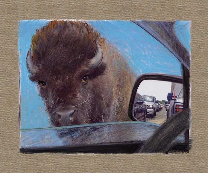 Zhang Hongtu, Bison’s Question