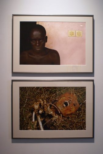 FACE: Scavenging Identity, installation view