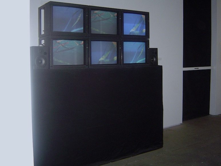 Molly Davies, Sea Tails, installation view