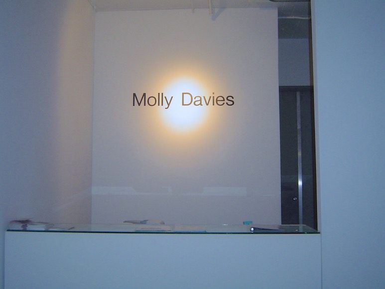 Molly Davies, installation view