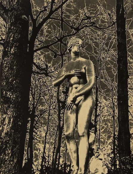 Naomi Savage, Untitled [Versailles – solarized statue]