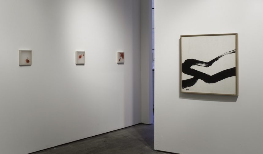 Yooah Park, solo exhibition, installation view