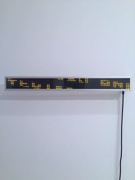 Jenny Holzer, Amber Essays